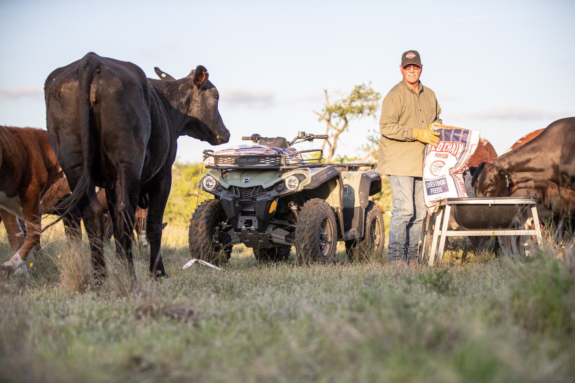 A Can-Am Outlander DPS ATV in a ranch surrounded by animals and a man