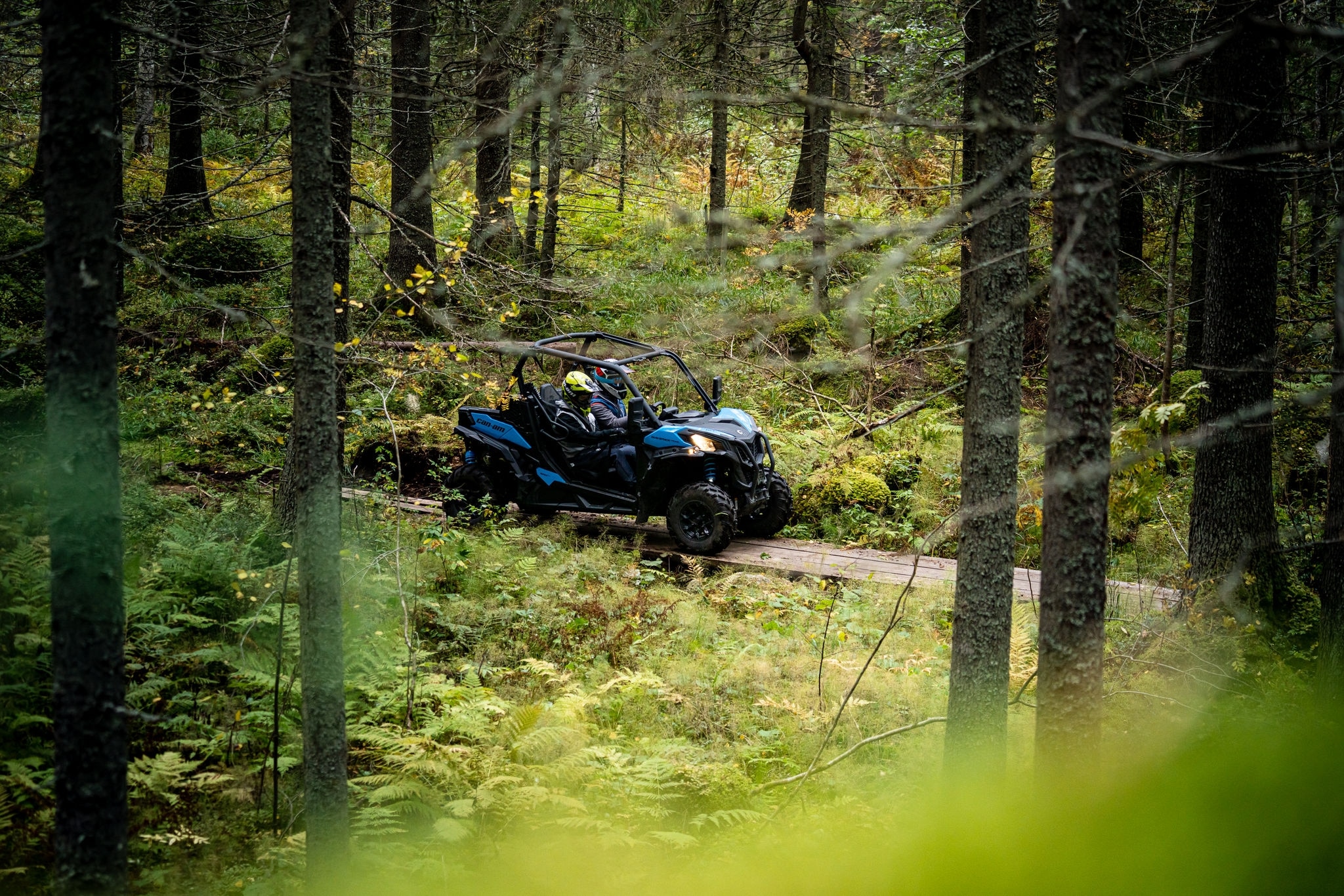 Maverick Trail metsätiellä