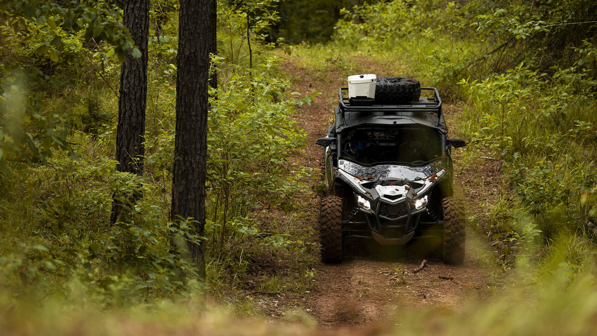 off road vehicule on trail