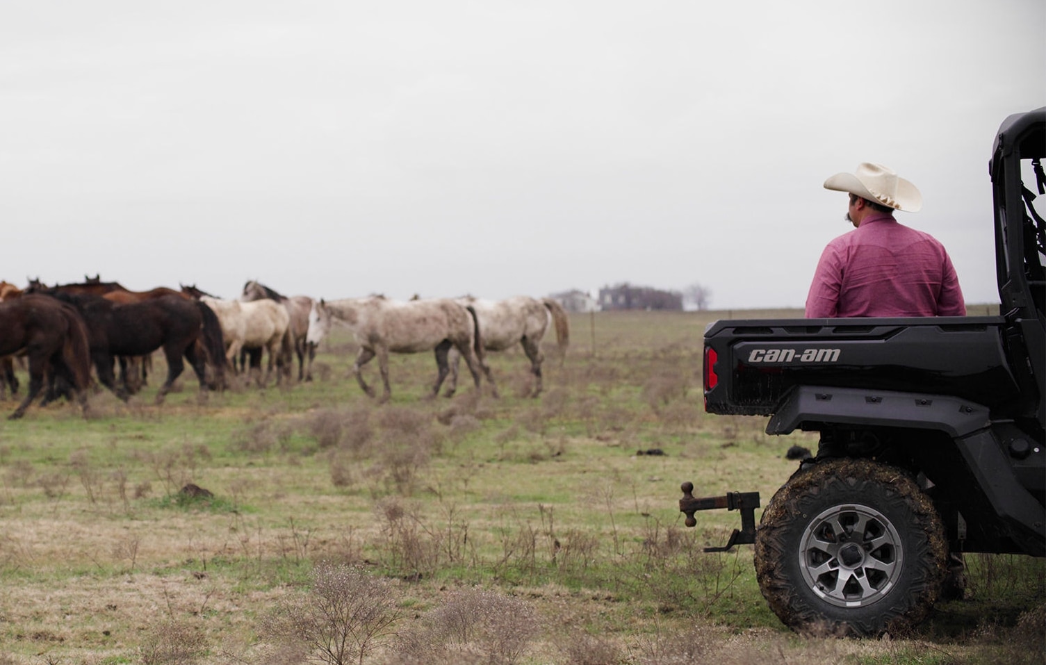 Rancher next to a Can-Am Defender looking out at a herd of cattle