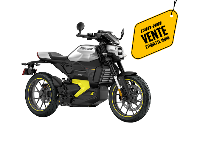 Modèle Can-Am Pulse '73