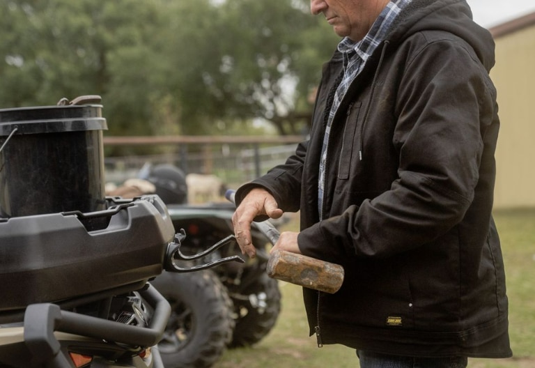 SSV in a field with cow