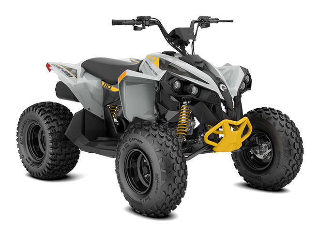 Renegade110 EFI Catalyst Gray & Neo yellow