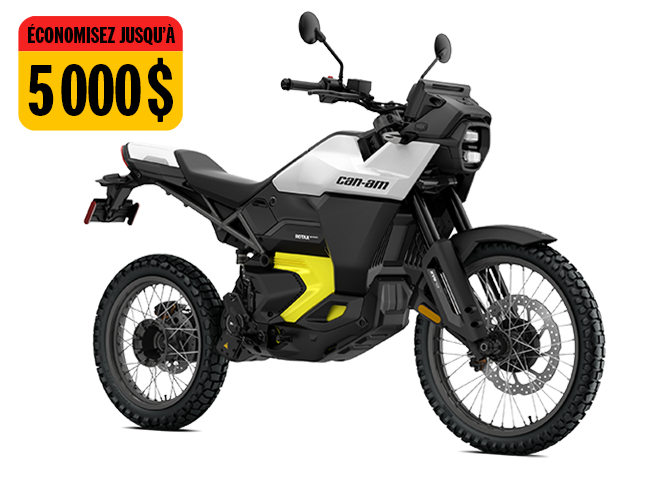 Modèle Can-Am Origin 73