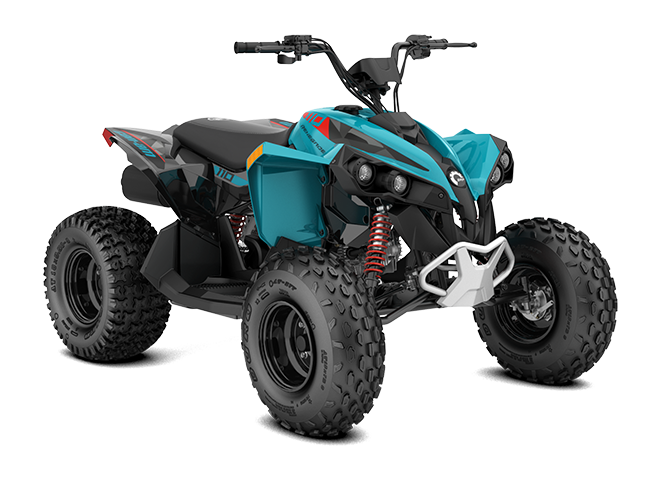 Renegade 110 EFI Iceberg Blue & Black