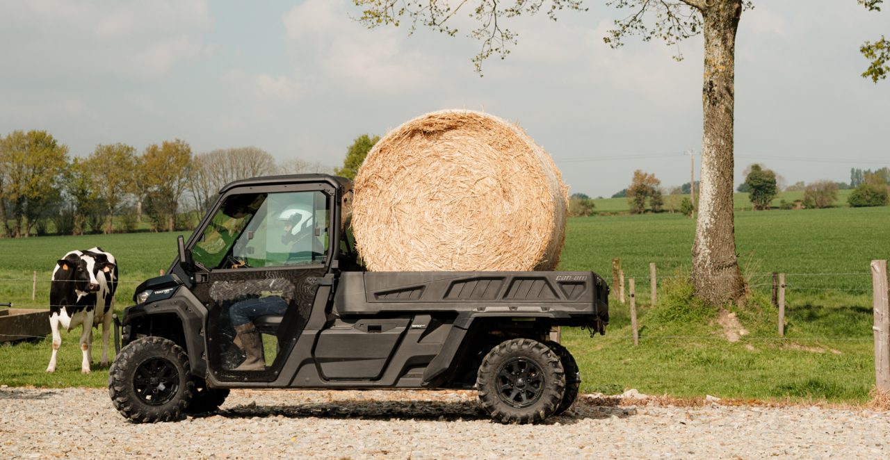 SxS in a field with cow