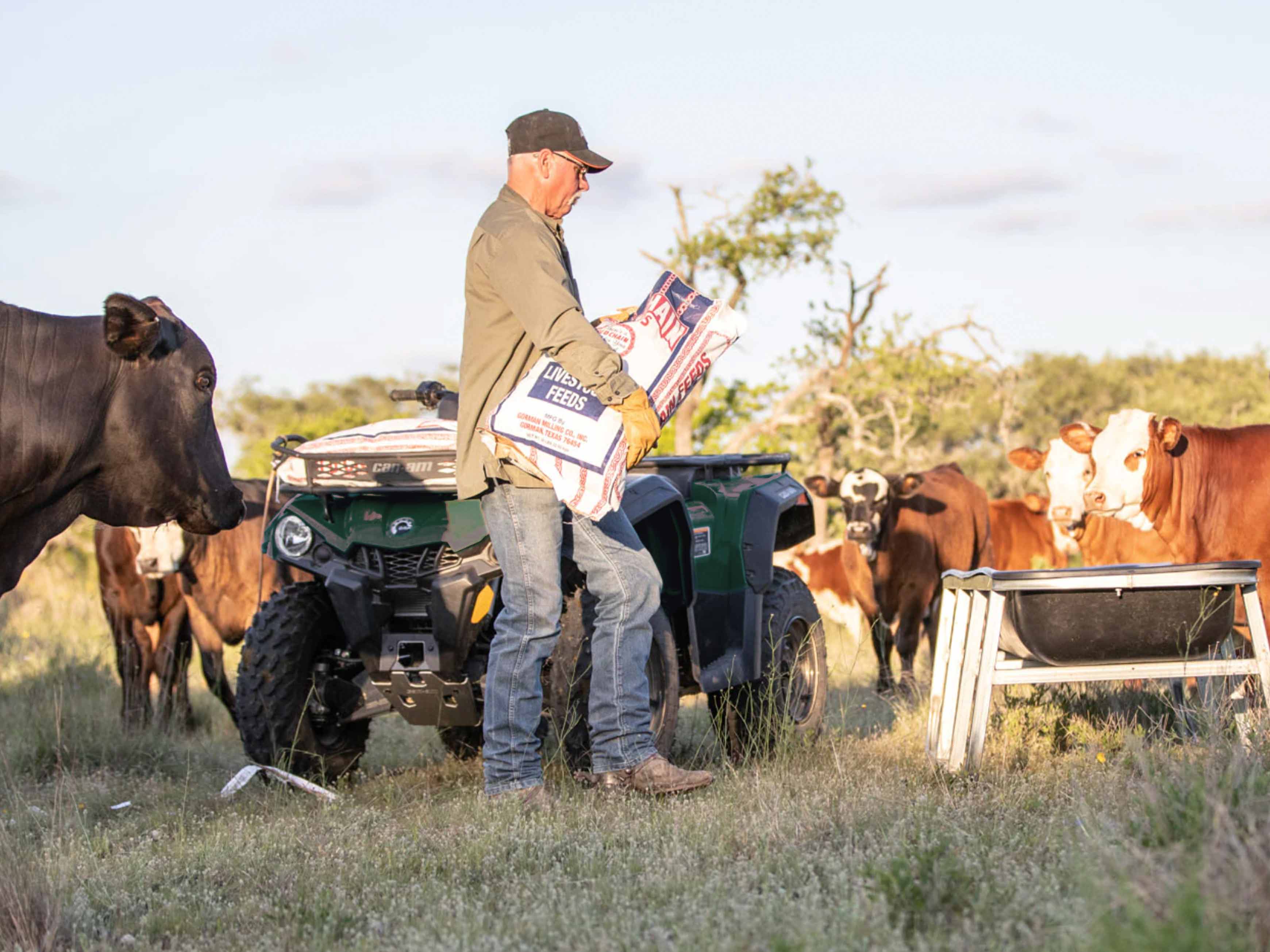 Outlander XU with Farmer feeding Cattle