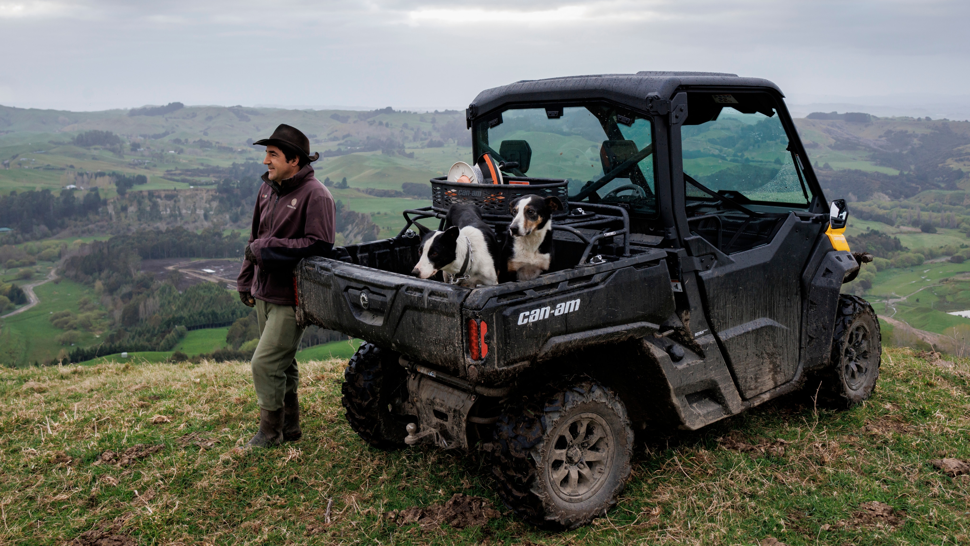 Man standing at athe top of a hill with a stationary defender that has 2 dogs in the back tray 