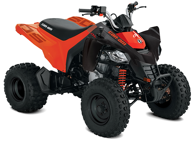 Can-Am Off-Road Modell DS 250