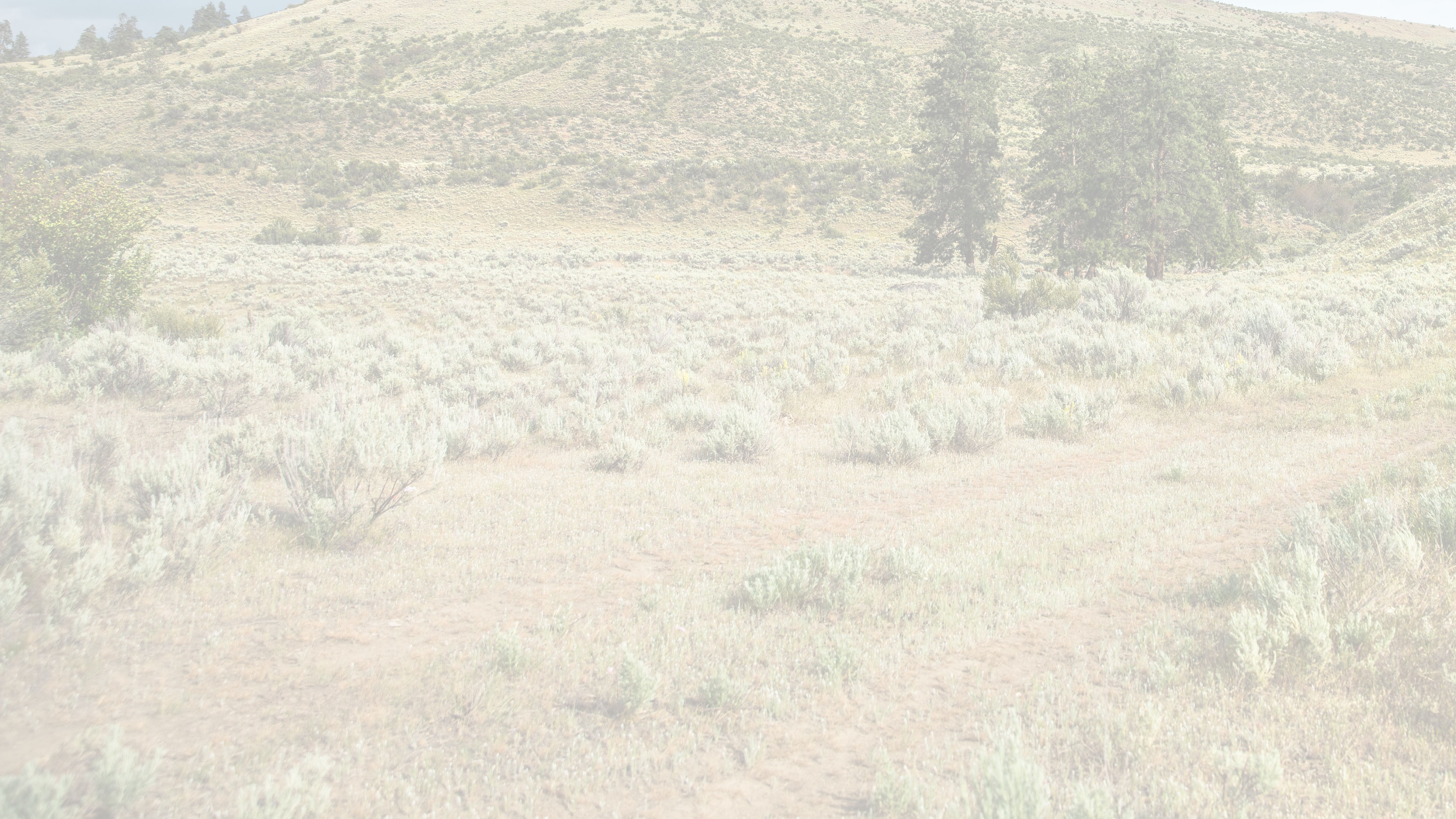 Background image of an off-road trail