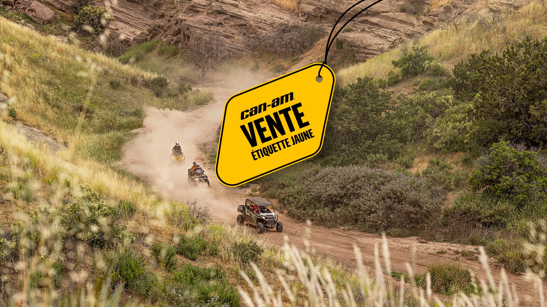 Offres de la Vente Étiquette Jaune