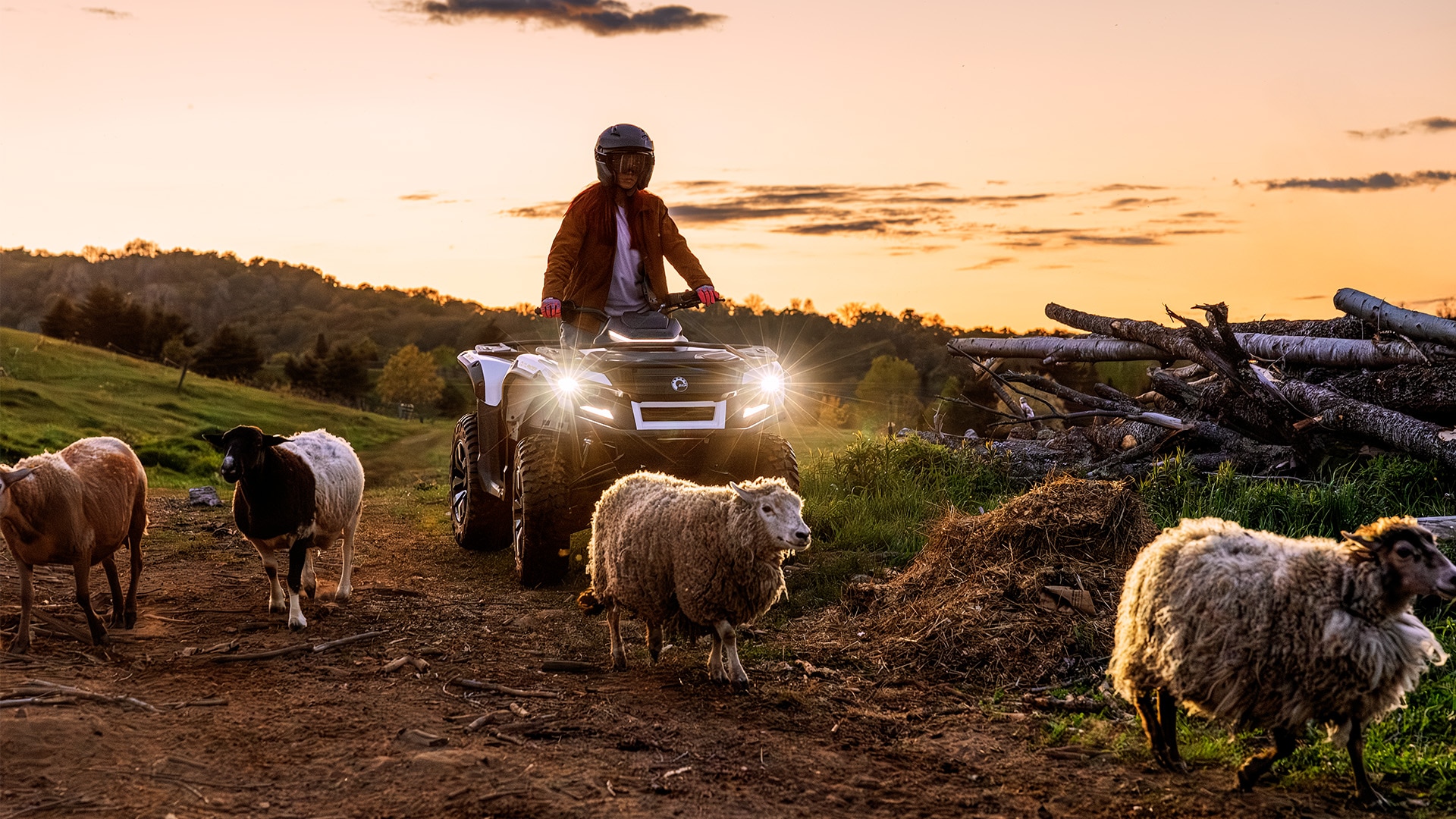" A woman riding her Can-Am Outlander Electric ATV near her sheep at sunset"