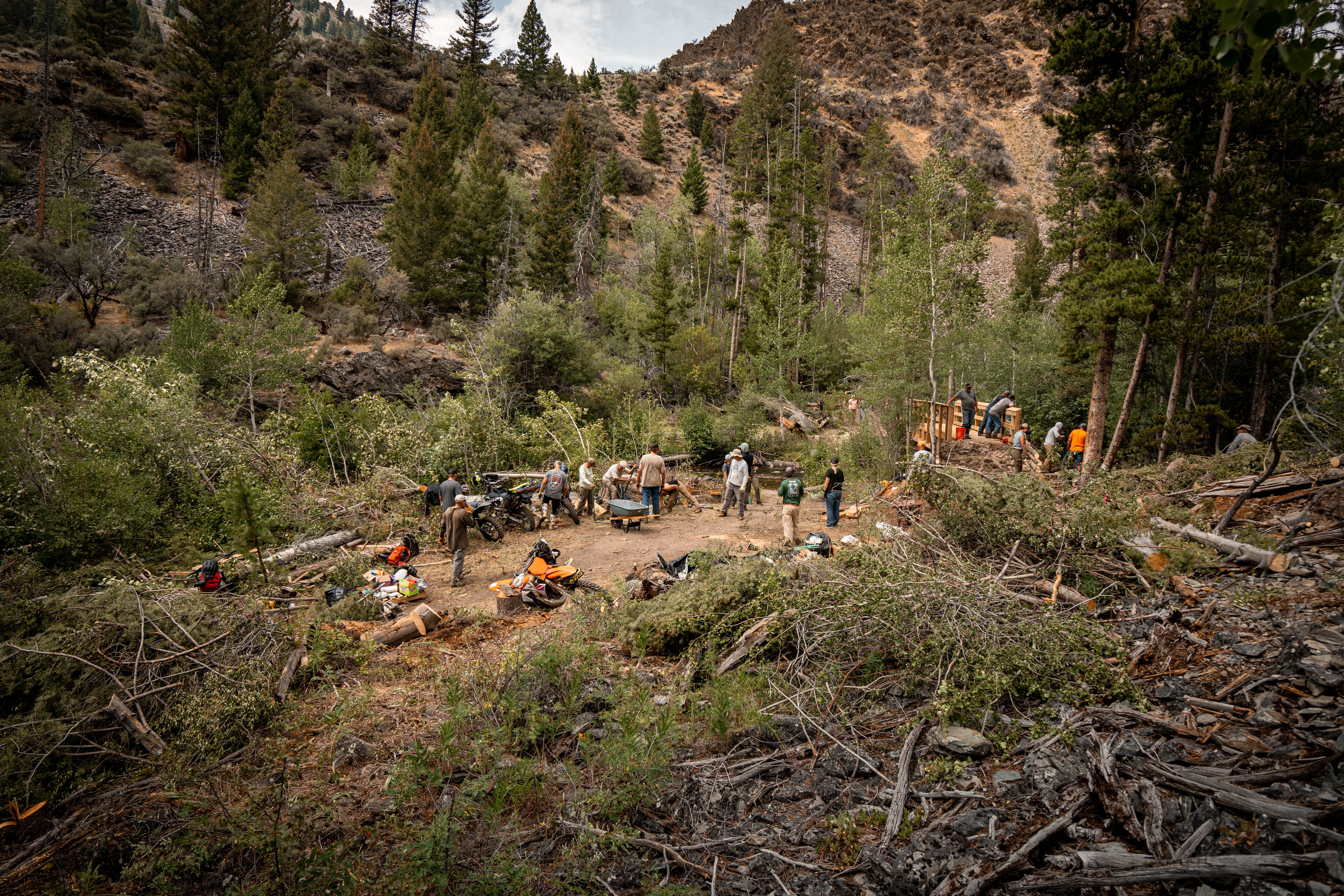 A group of workers building a bridge in the middle of the forest