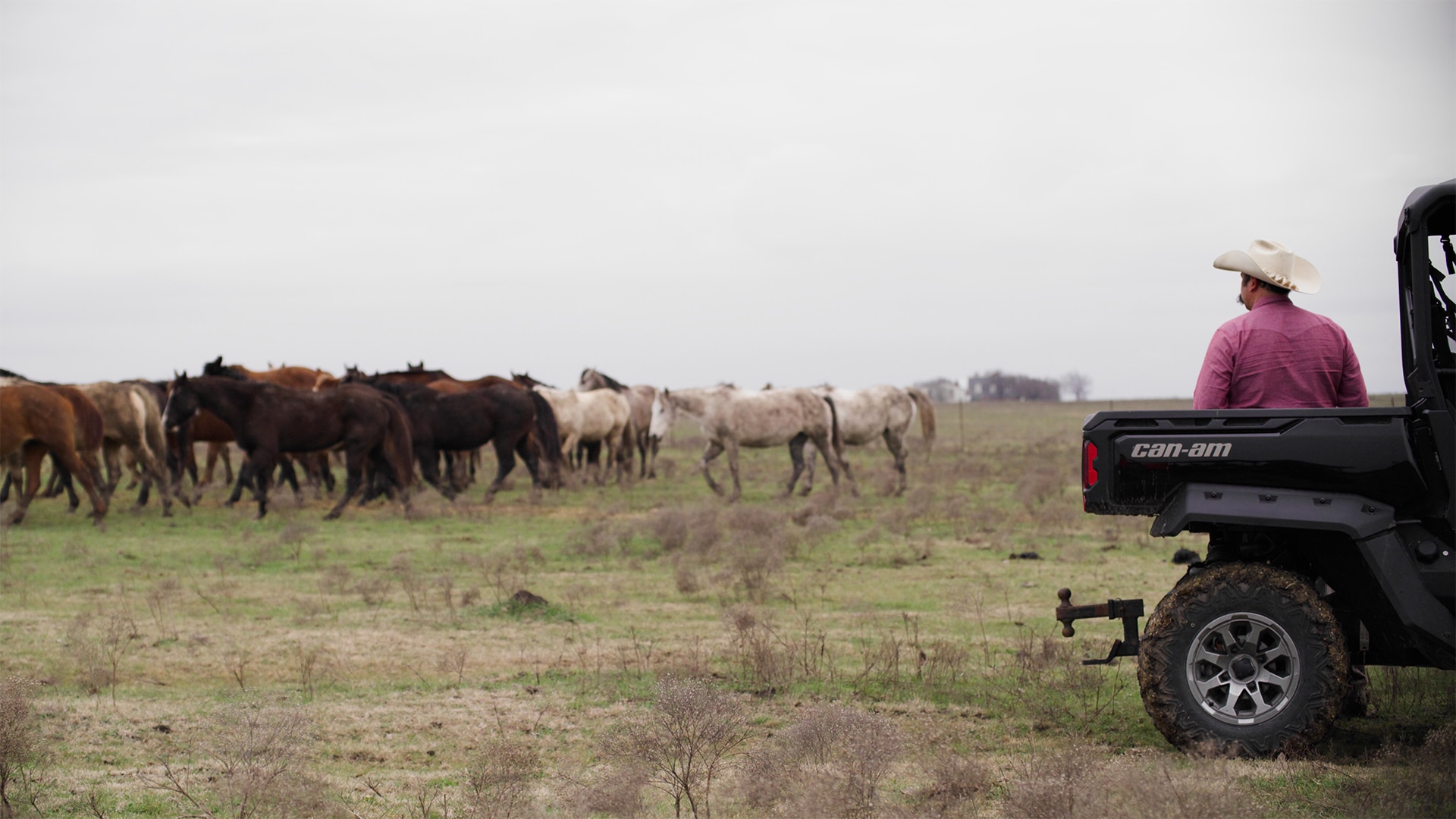Rancher next to a Can-Am Defender looking out at a herd of cattle