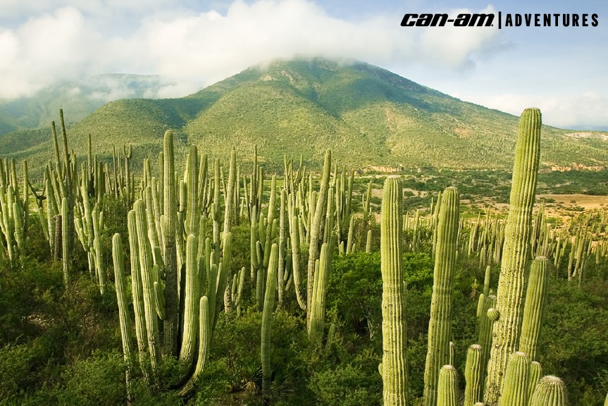 Fotografía de ruta Can-Am Adventures Tehuacán