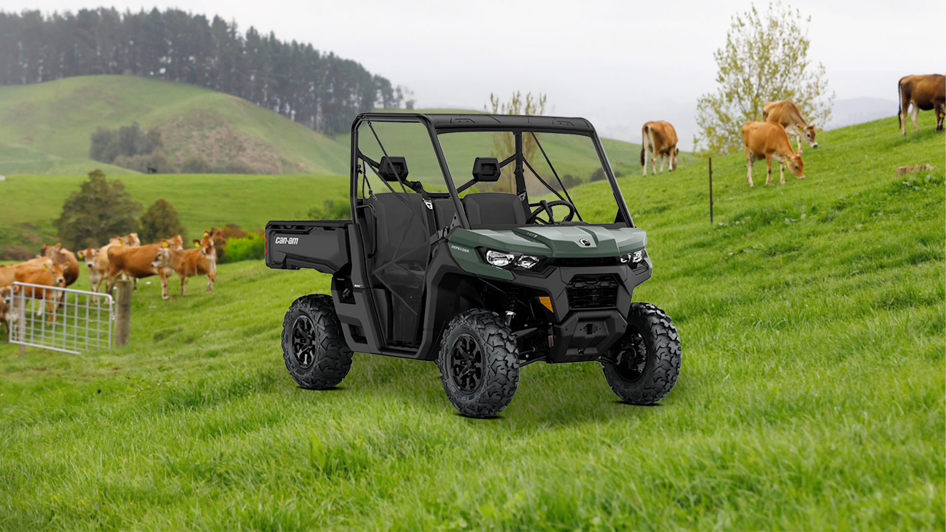 Modelo Defender HD7 2026 em campo com vacas.
