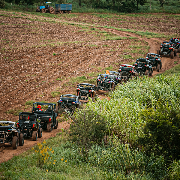Veículos Can-Am alinhados em comboio cruzando campo aberto.