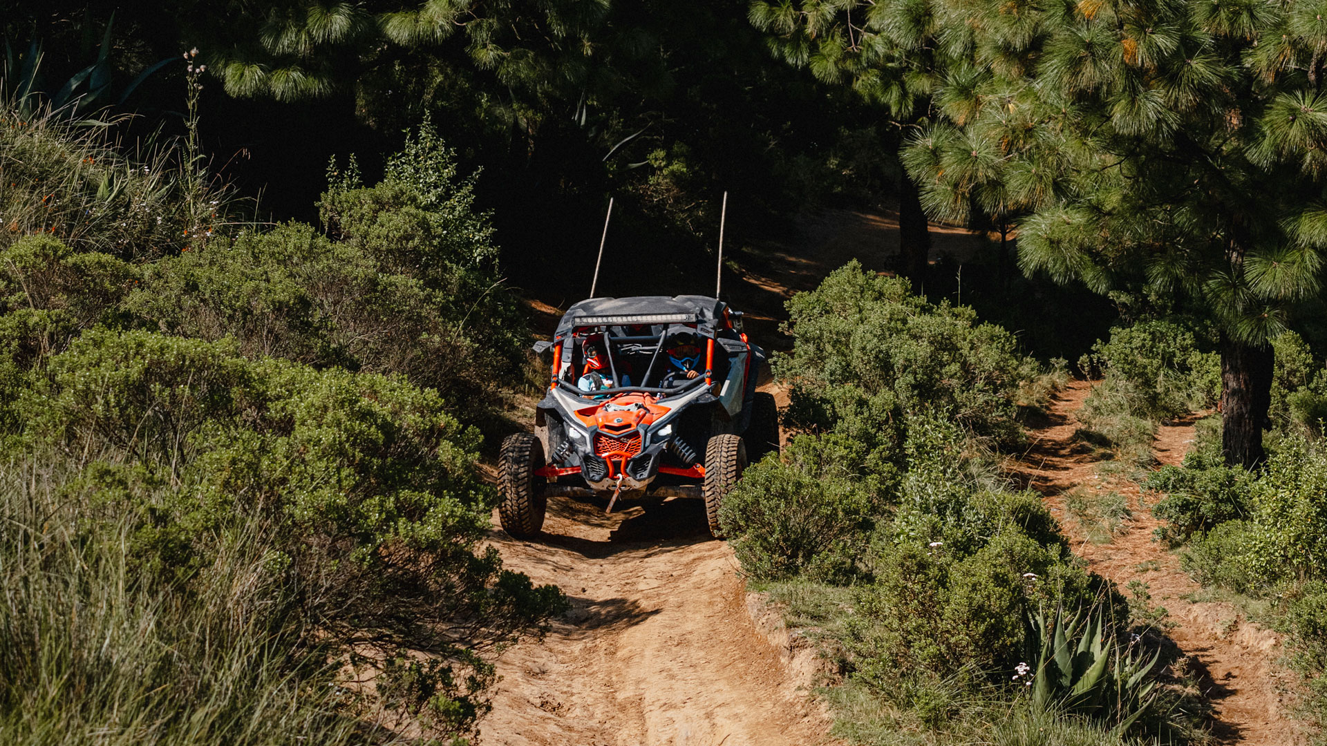 Maverick X3 en la selva