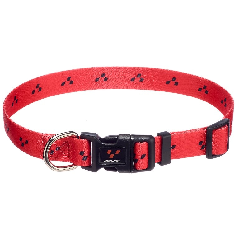 large dog leashes and collars