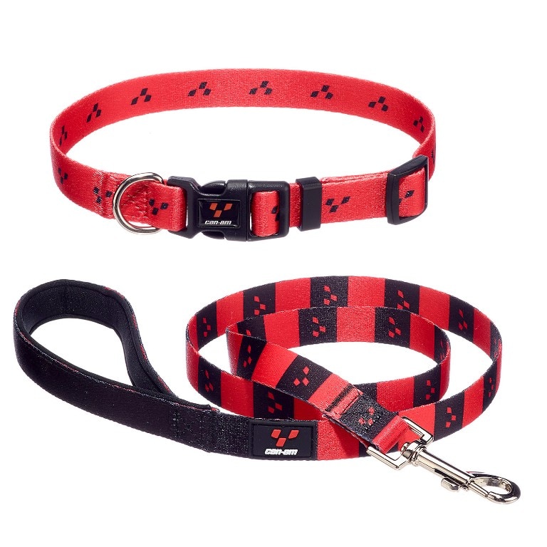 dog collars and harnesses for small dogs