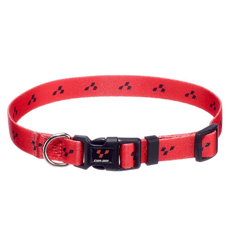 collar and leash pet store