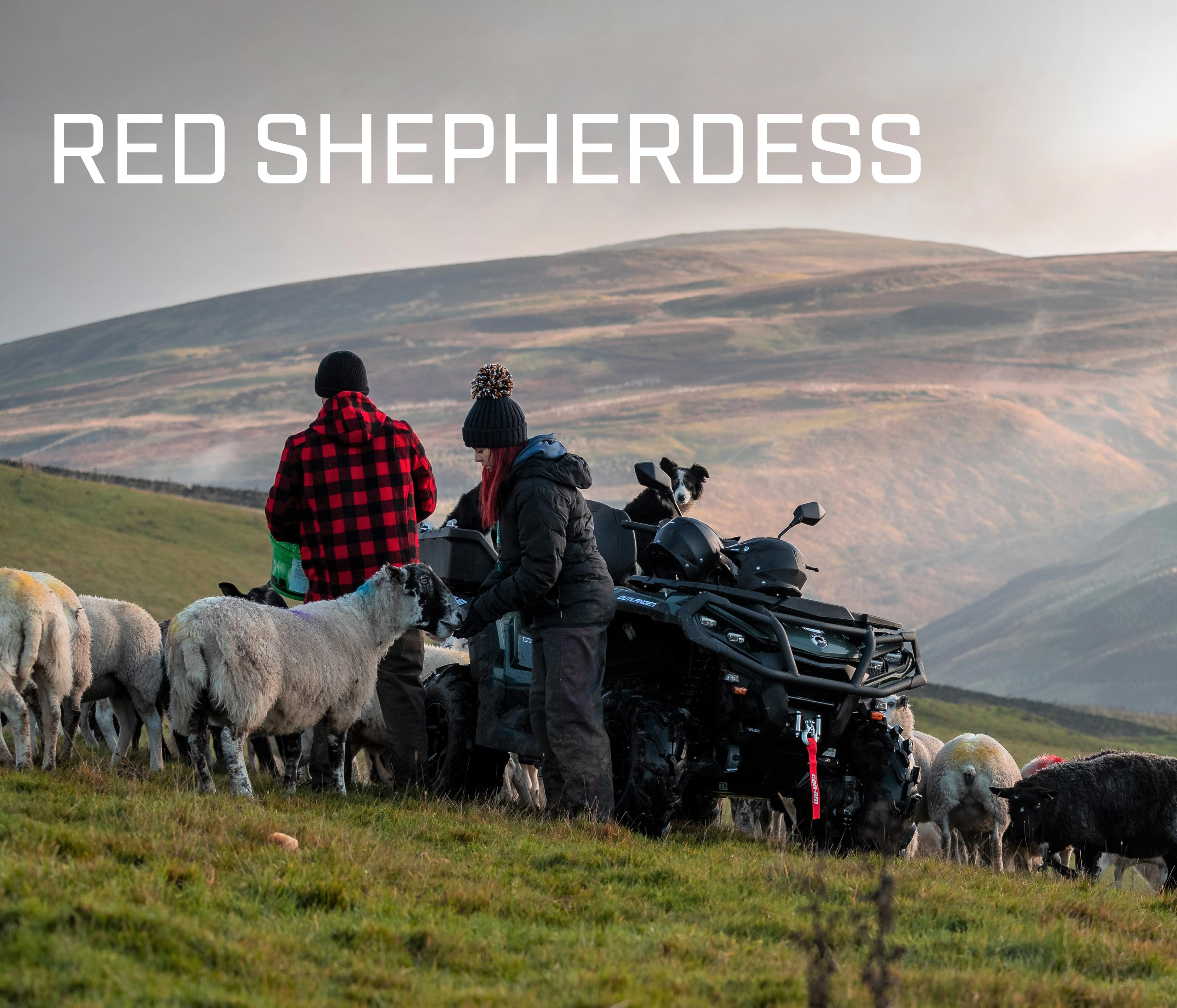 The red shepherdess series thumbnail