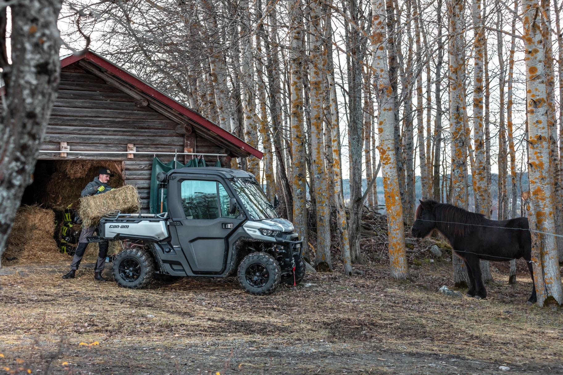 Can-Am Traxter utility med hester