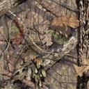 camouflage-mossy-oak-break-up-country