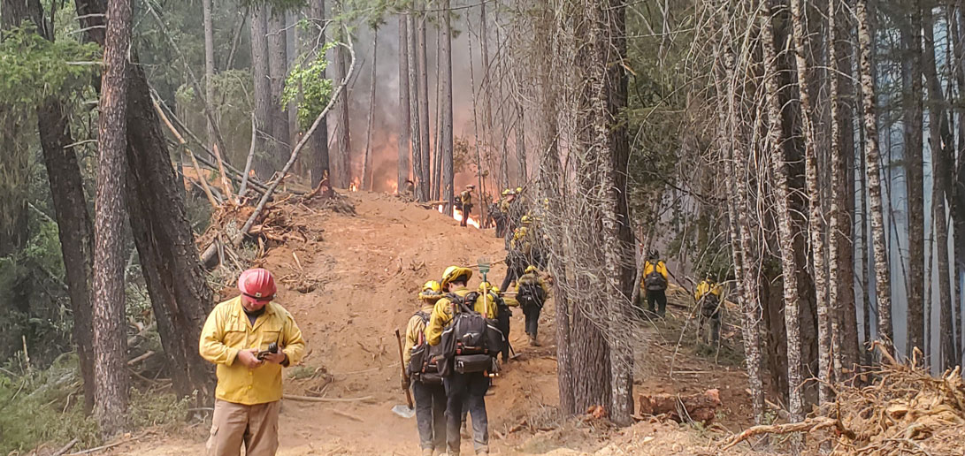 Des pompiers qui travaillent dans une forêt en feu