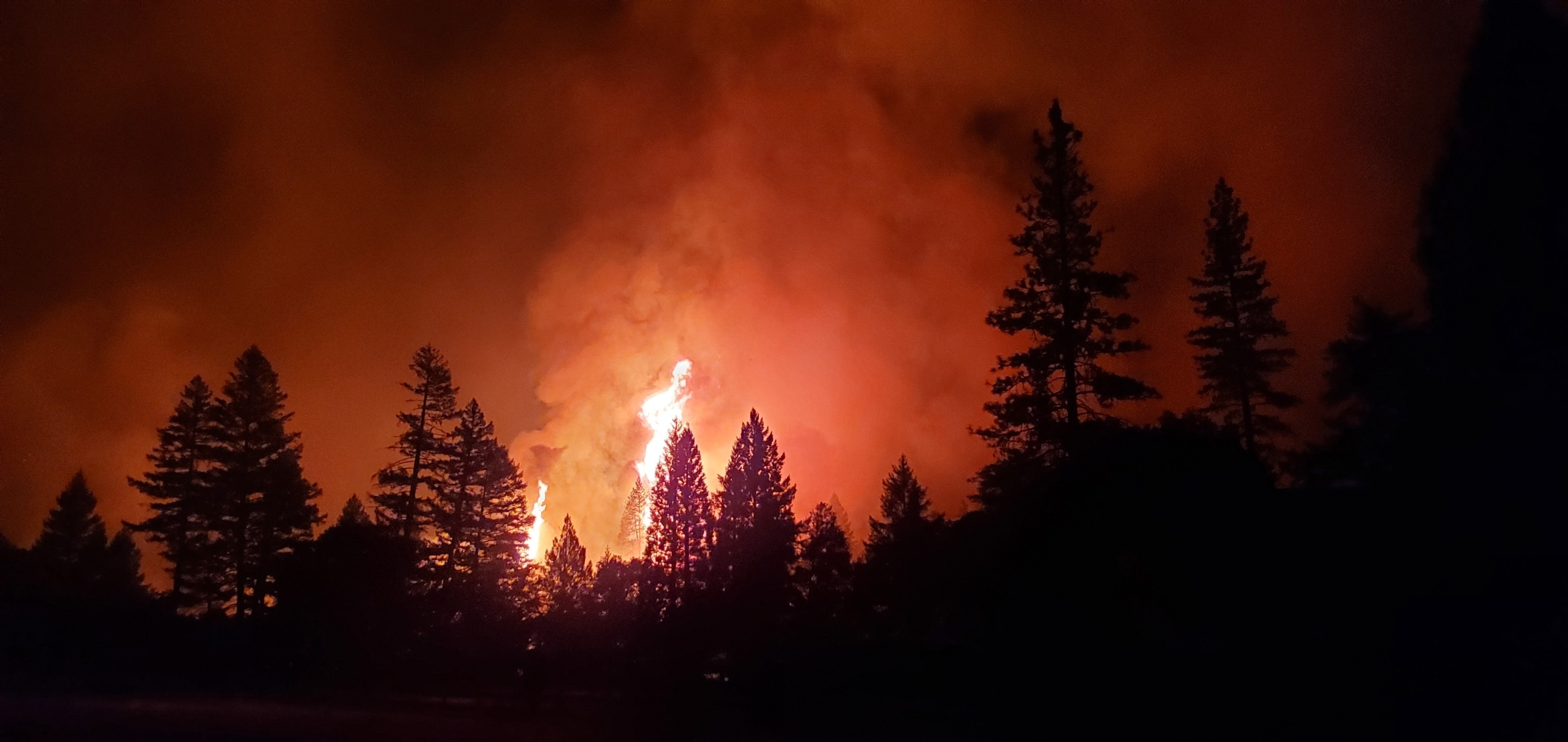 Historic California fire burning a forest