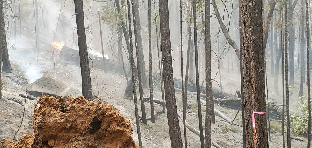 Forêt en feu, vue à partir d'un Defender sur une ligne de bulldozer