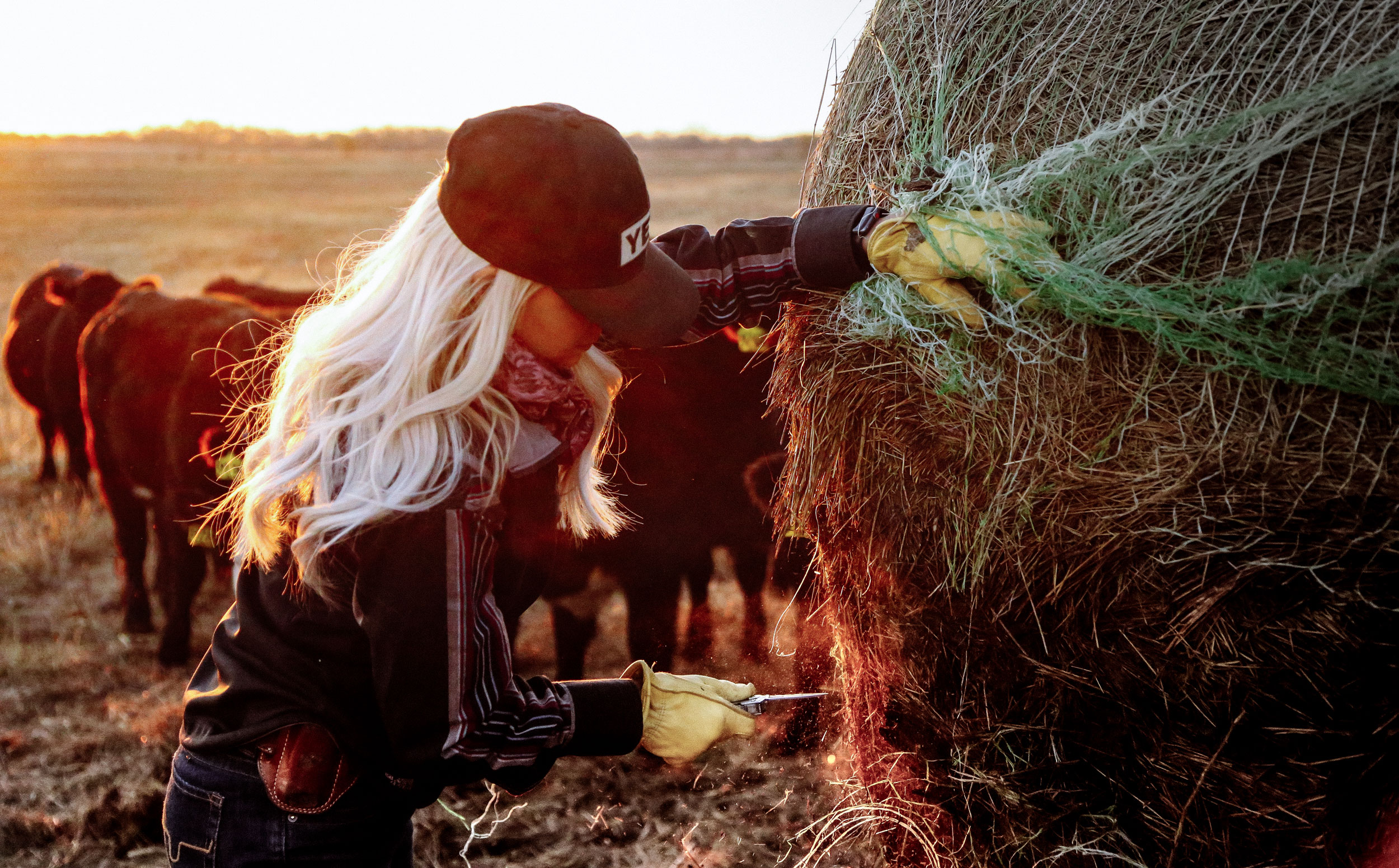 Alex Templeton qui prépare le foin pour ses animaux au ranch