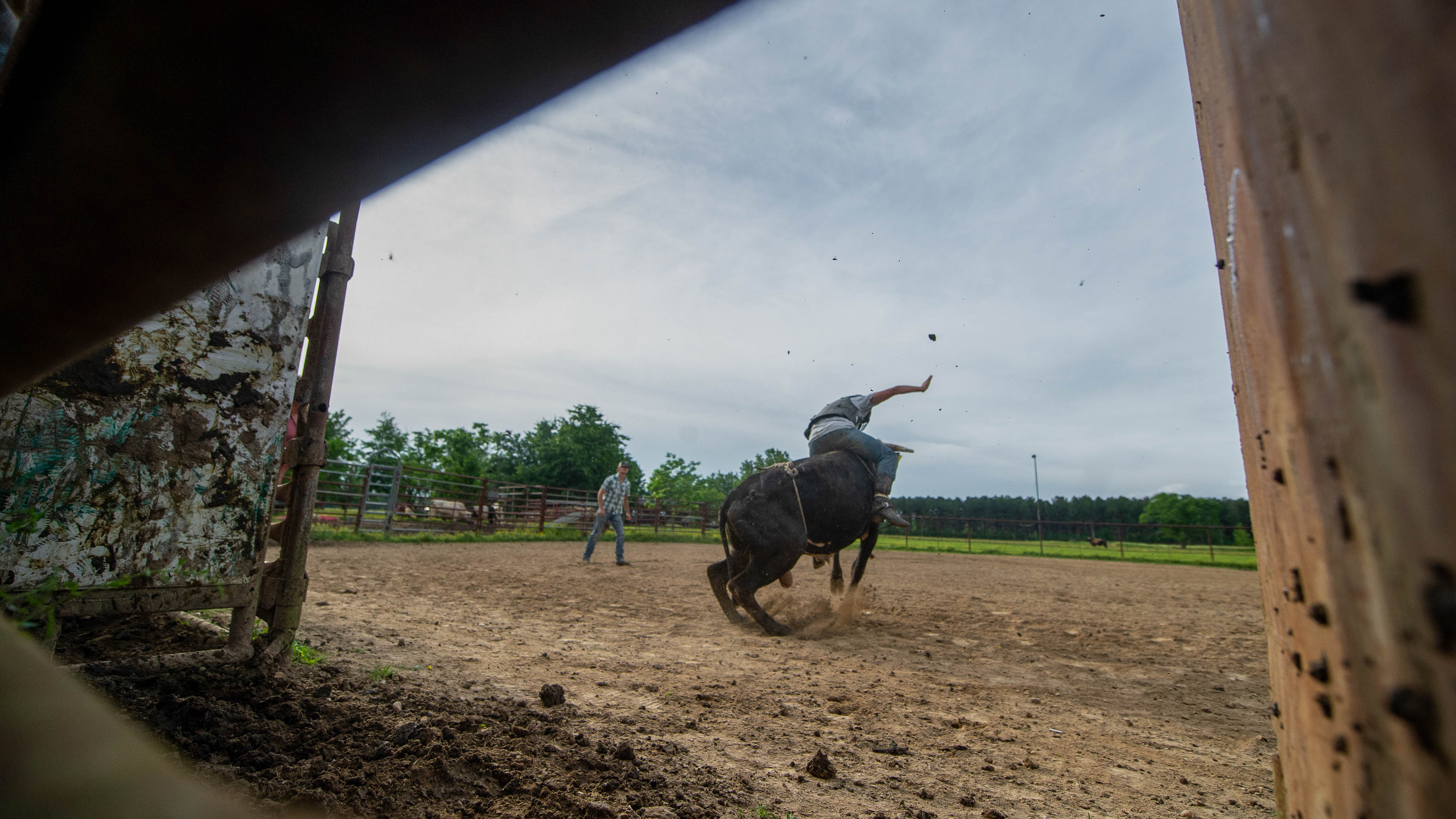 Chase Outlaw montando un toro