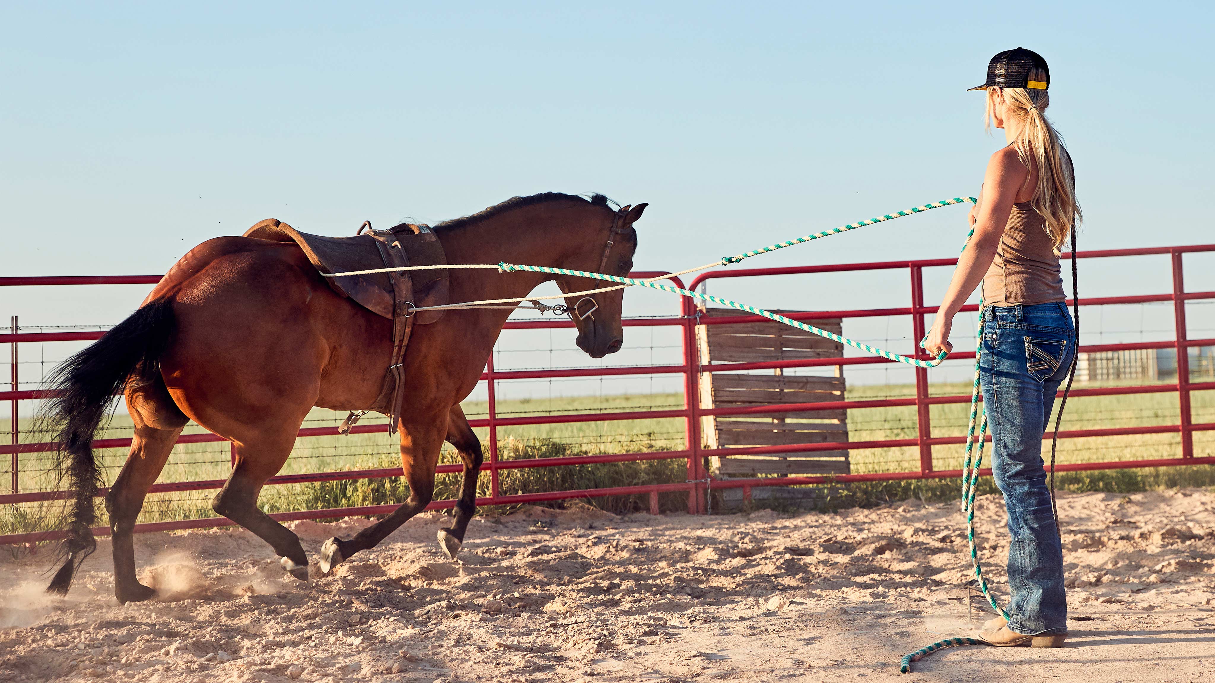 Kristy Lee Cook entrenando un caballo al aire libre