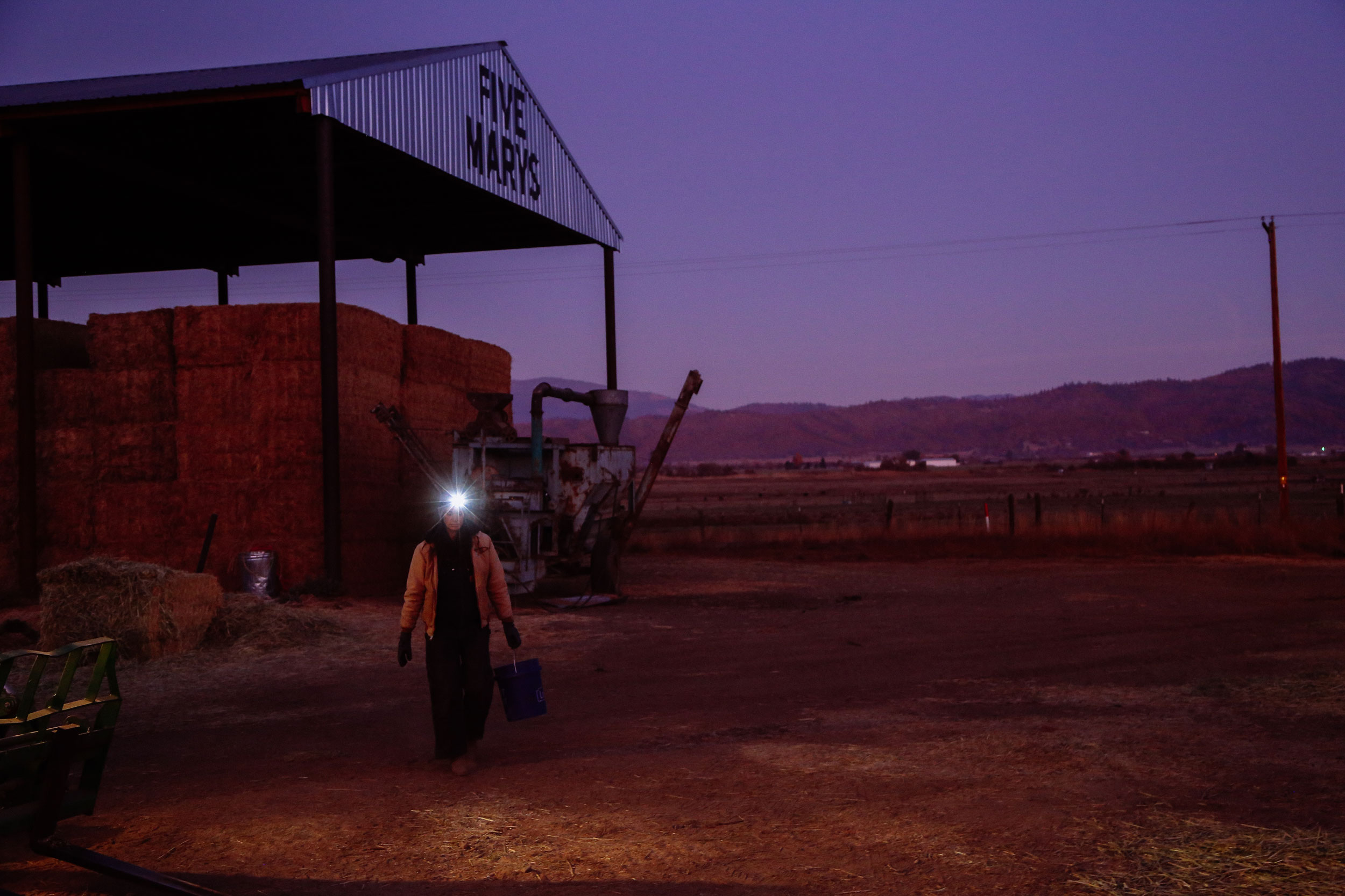 Una mujer en una granja por la noche