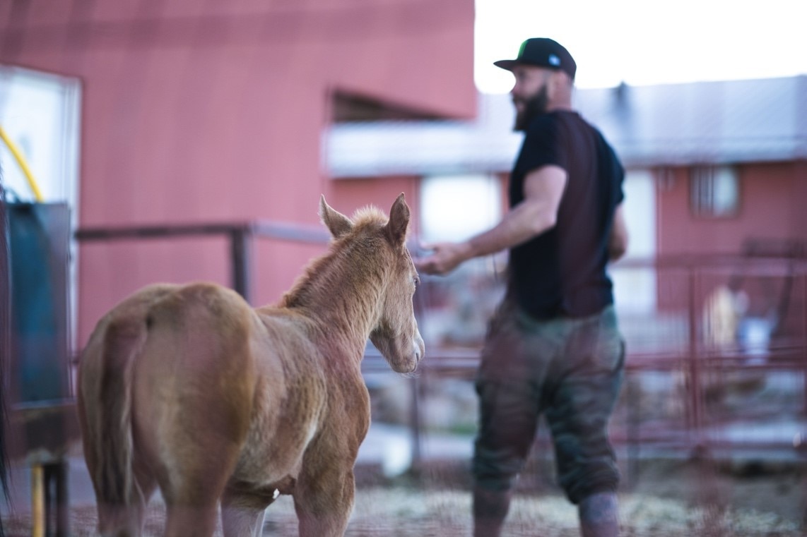 Donald Cerrone with pony at BMF Ranch    