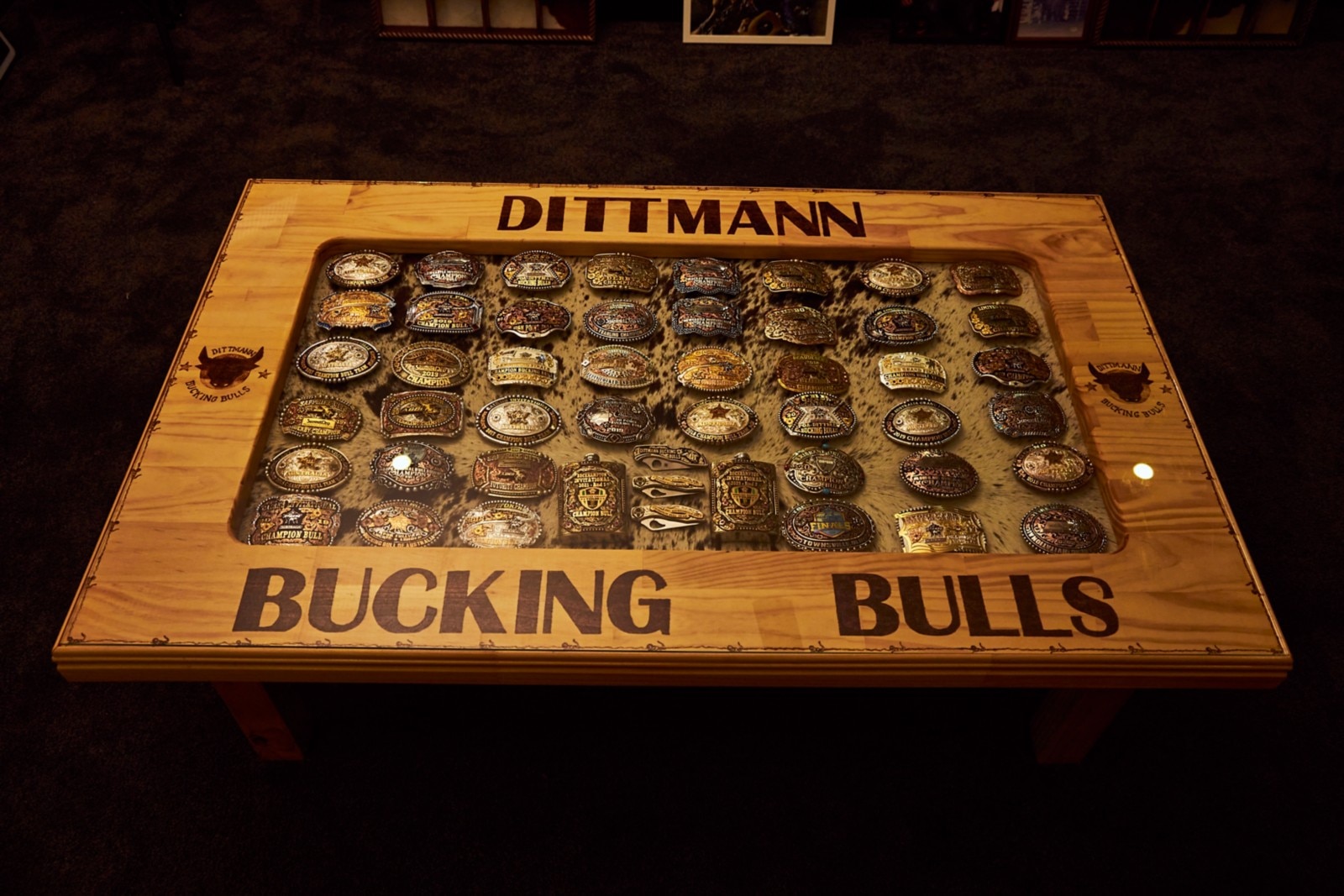 A custom wooden box, labelled Dittman Bucking Bulls, full of bull riding belt buckles 