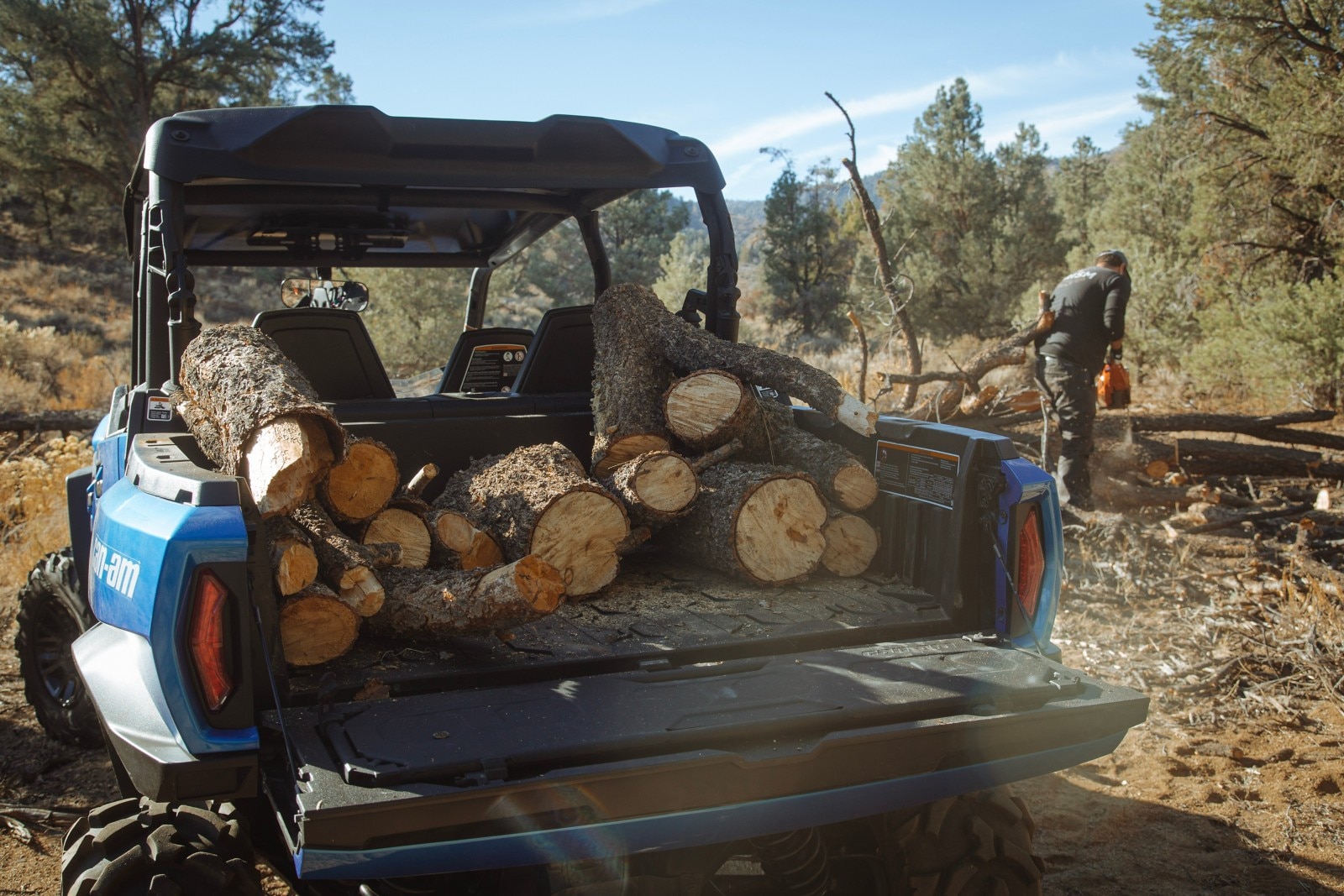 An Oxford Blue Can-Am Commander with a bed full of wood log sections while Billy Parks works away with his chainsaw in the background