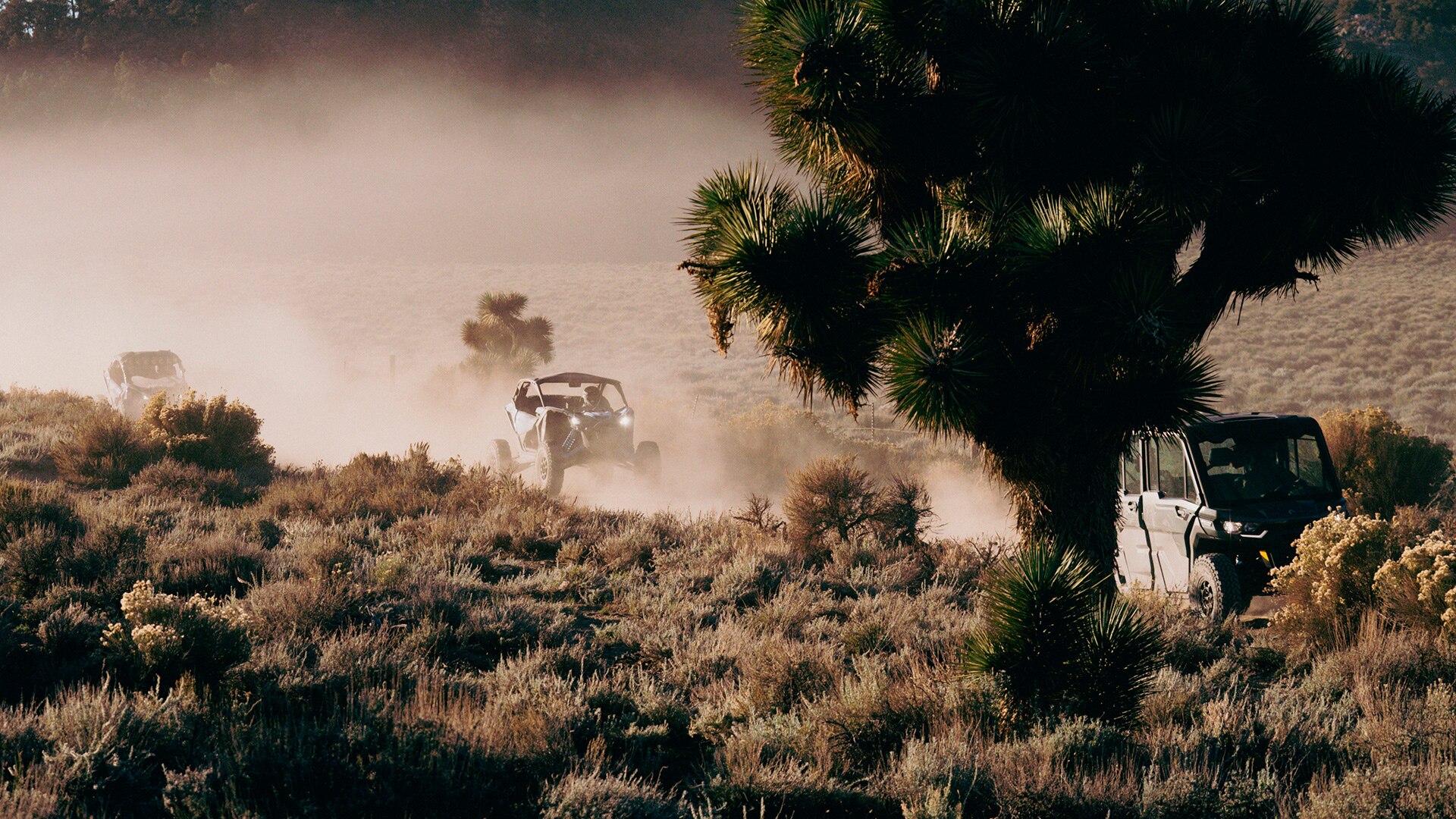 Can-Am side-by-side vehicles kicking up clouds of dust as they drive through a trail of dirt.