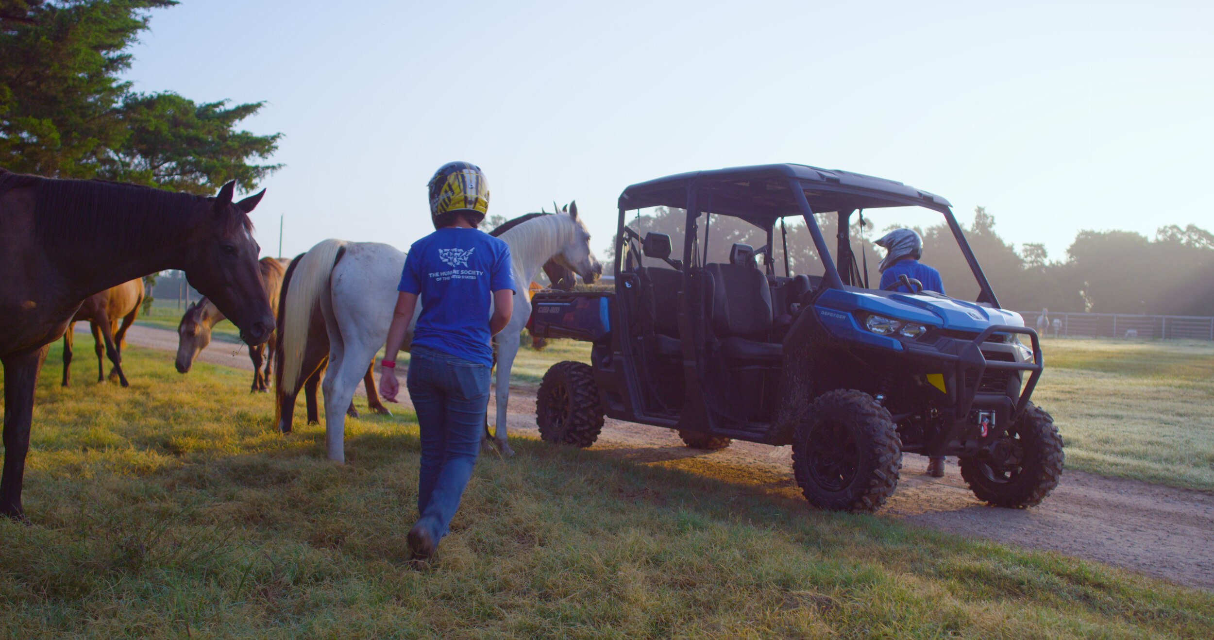 Can-Am Defender Max in a ranch with horses
