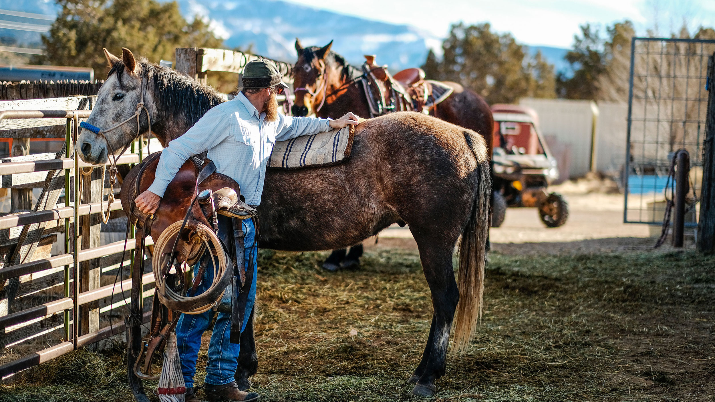 A cowboy on a horse ranch