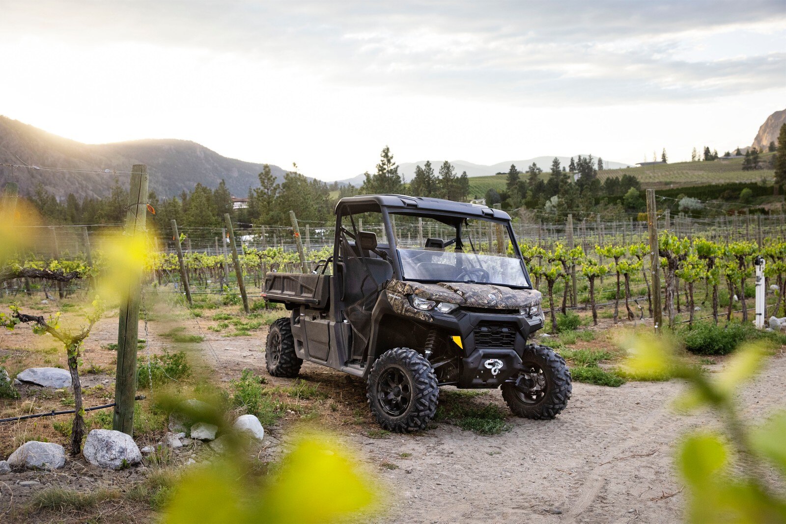 Can-Am vehicle in a vineyard