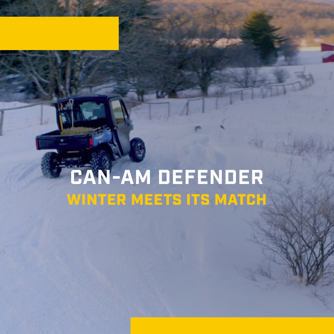 Winter equine farming work with the help of a Defender