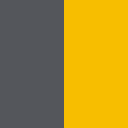 iron-gray---neo-yellow