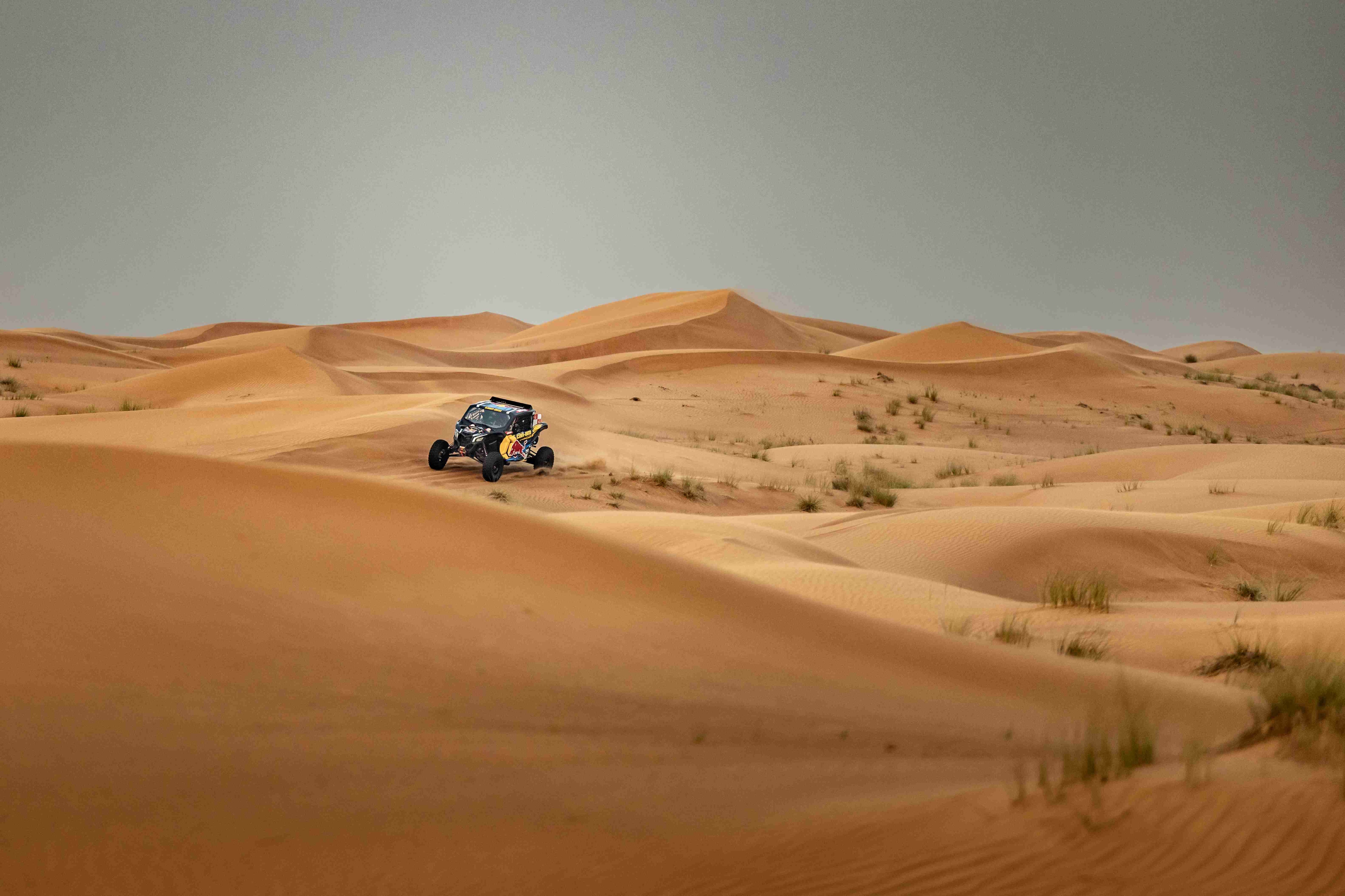 Maverick andando em um mar de dunas