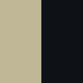 beige-d-sert-et-noir-furtif