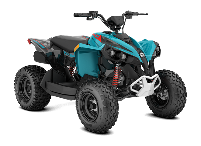 Renegade 70 EFI