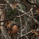 dark-wildland-camo