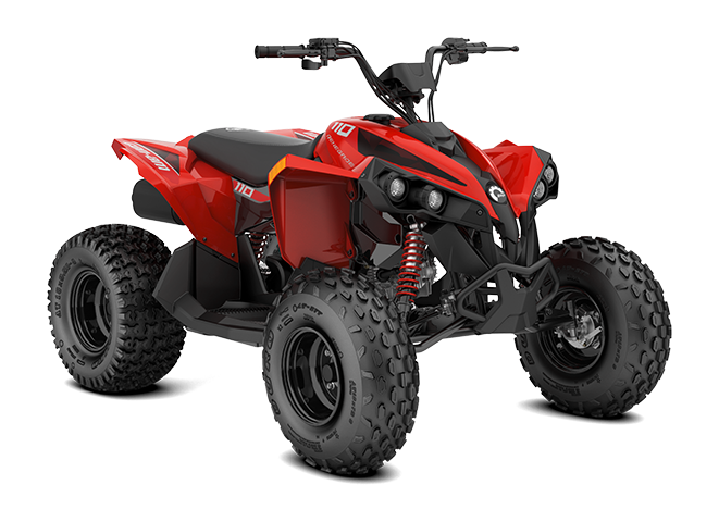 Renegade 110 EFI