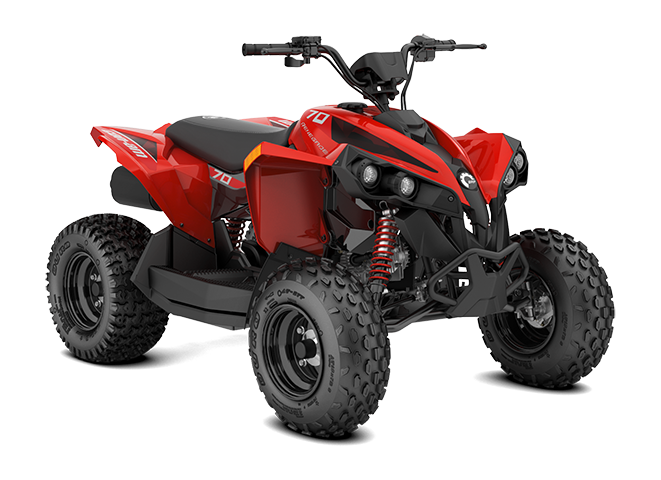 Renegade EFI